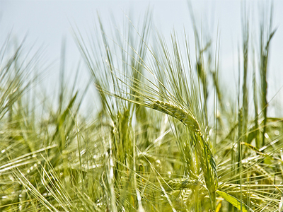 r(nng)I(y)NӹևD(zhun)