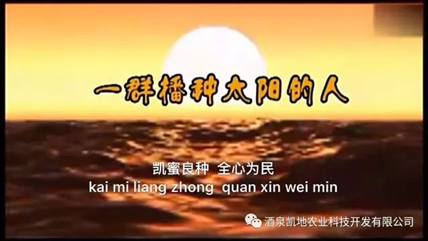 ȫʡr(nng)I(y)F(xin)FC݅^(q)^ĦW(xu)(x)