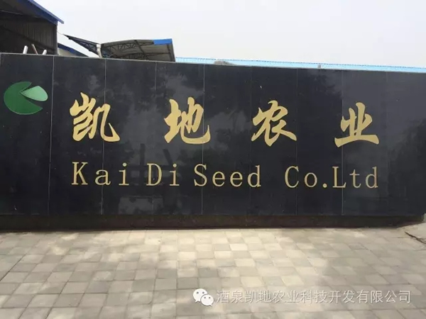 2017ʮЇ_˹̹ЇƷչ[AMekCʡ̄(w)dFPw