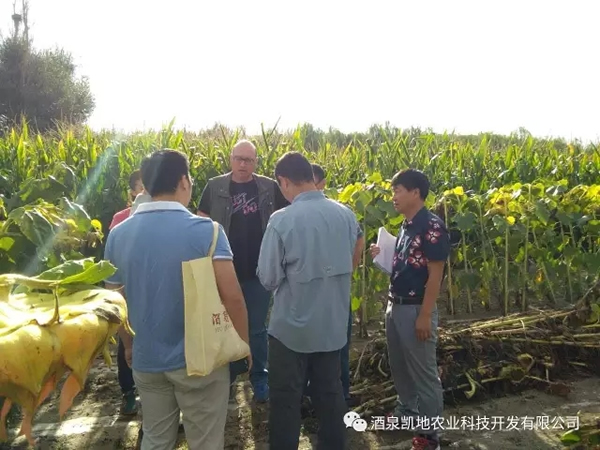 Қgӭ(ni)⌣Ҽ͑WRҹ˾ƷNԇ^ĦW(xu)(x)