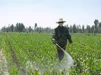 ݣʲôr(sh)gˎǧf(wn)ӛee(cu)